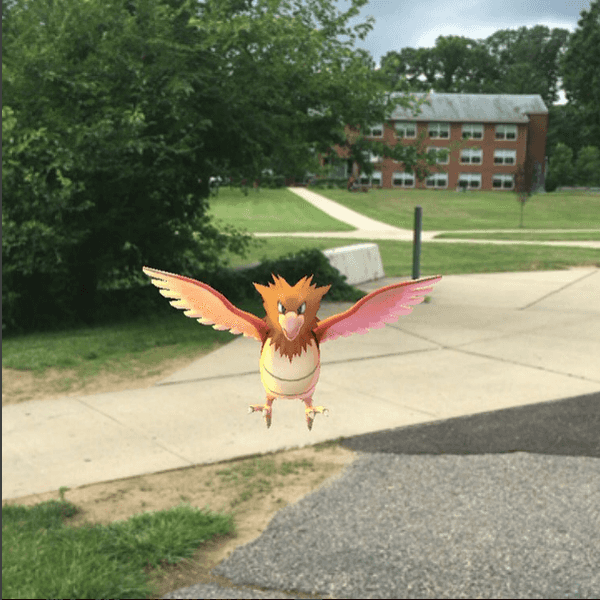 Pokémon Go Takes Over Rider University's Campus