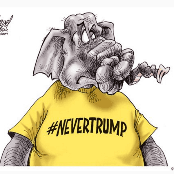 Why You Should Vote For A Third Party This Election