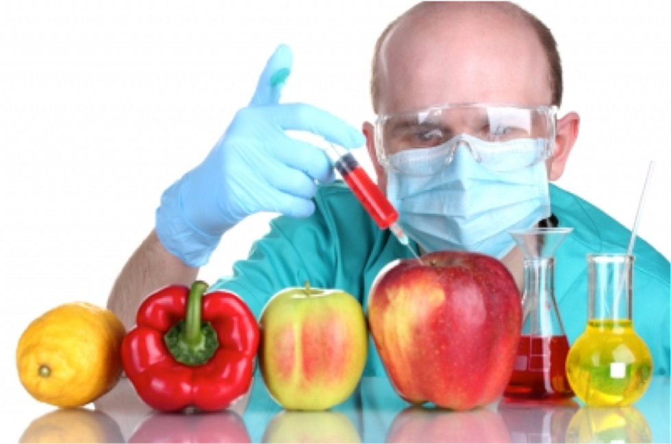 GMOs: Friend or Foe?