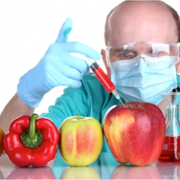 GMOs: Friend or Foe?
