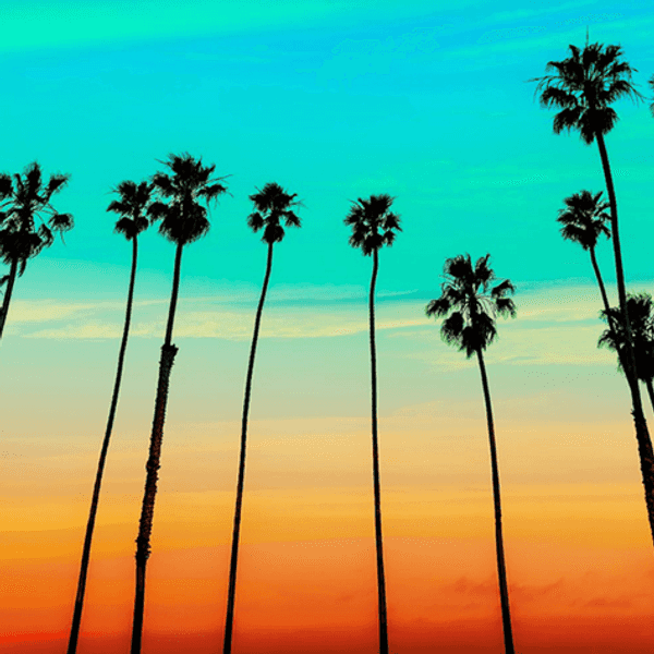 3 Things You Should Try This Summer