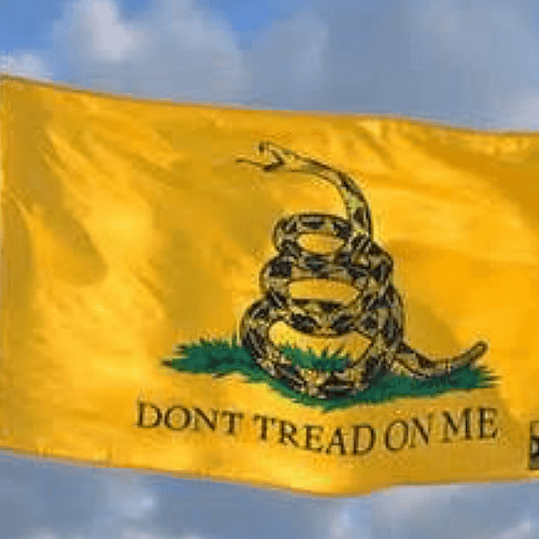 Where Has Our Constitution Gone?