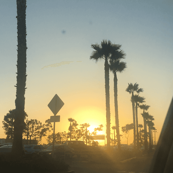 50 Things To Do While In California
