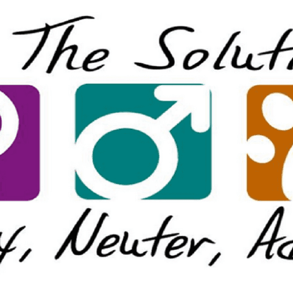 The Real Struggles of Learning to be a Vet