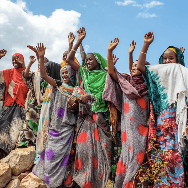 UN Women's Goodwill Ambassadors
