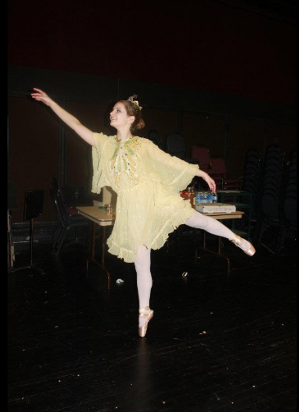 A Butterfly's Journey