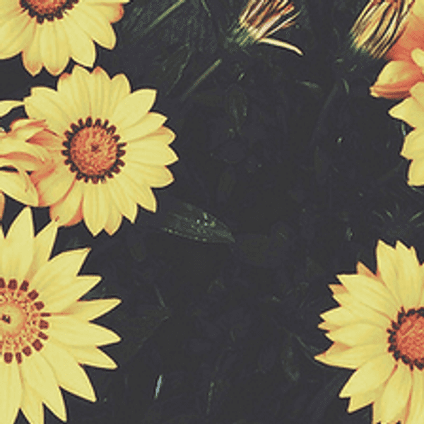 50 Things That Make You Happy