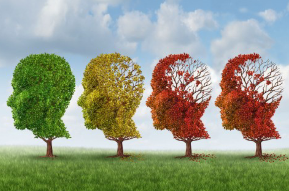 Love Everyone To The Fullest