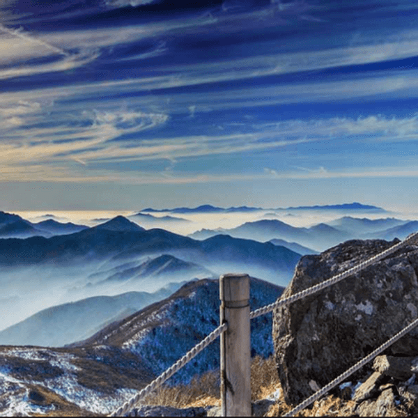 5 Reasons to Study Abroad While in School