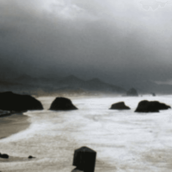 10 Things Scarier Than Sharks At The Beach