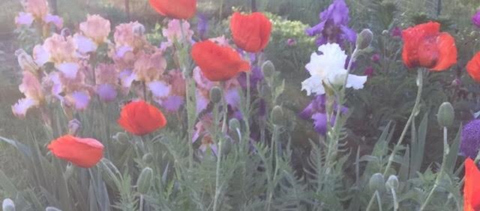 Daily Living: The Inspiration