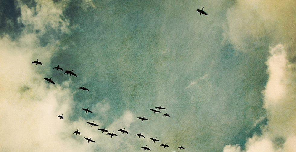 An Open Letter To Those I Lost Along The Way