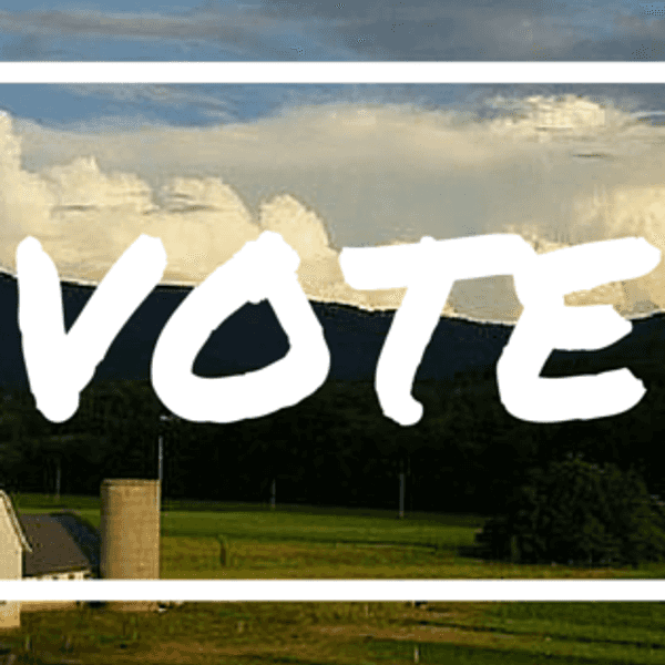 3 Ways That Down-Ballot Races Are Sexy