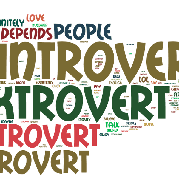 12 Things You Should Know About The Extroverted Introvert