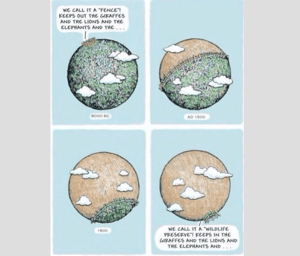 What To Do With Only 200 Years Of Trees
