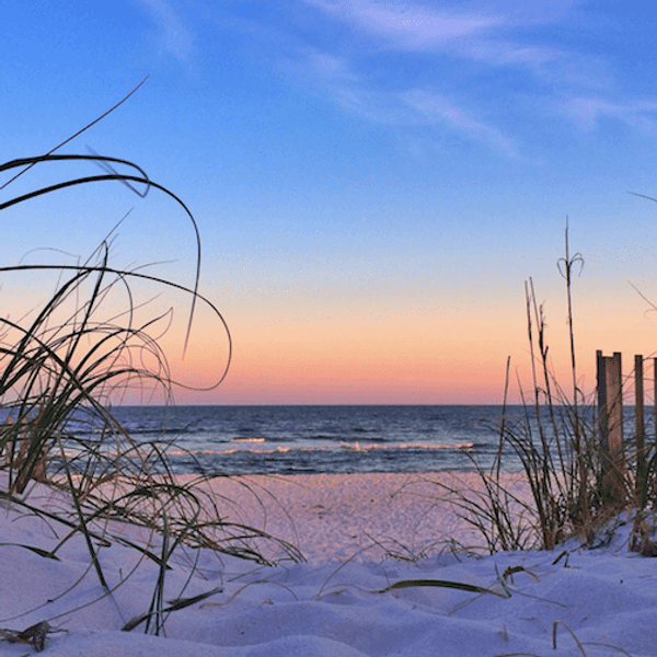 5 "Perks" Of Living In Florida