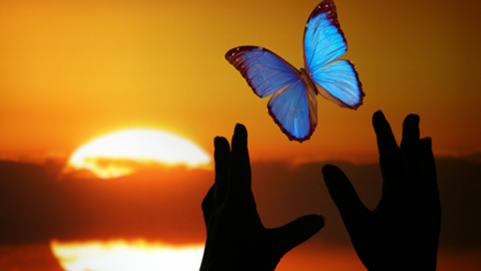 A "Thank You" To Those Who Doubted Me