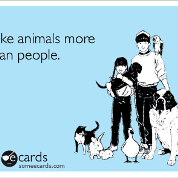 10 Signs You Like Animals More Than People