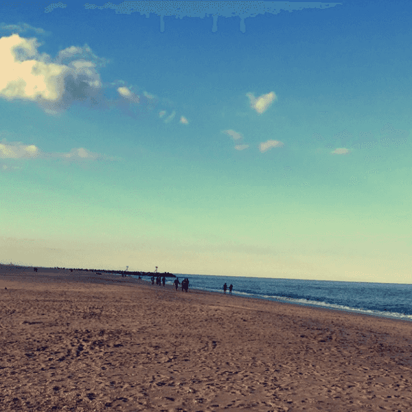 Why The 732 Kids Hate BENNY Season