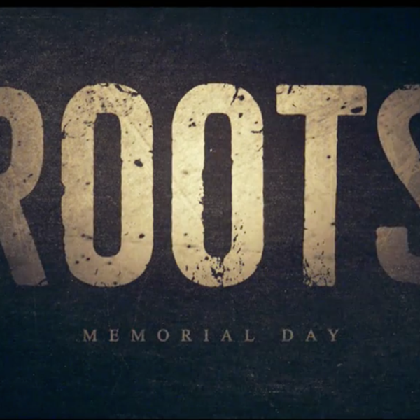 The Most Important Moments from the "Roots" Reboot