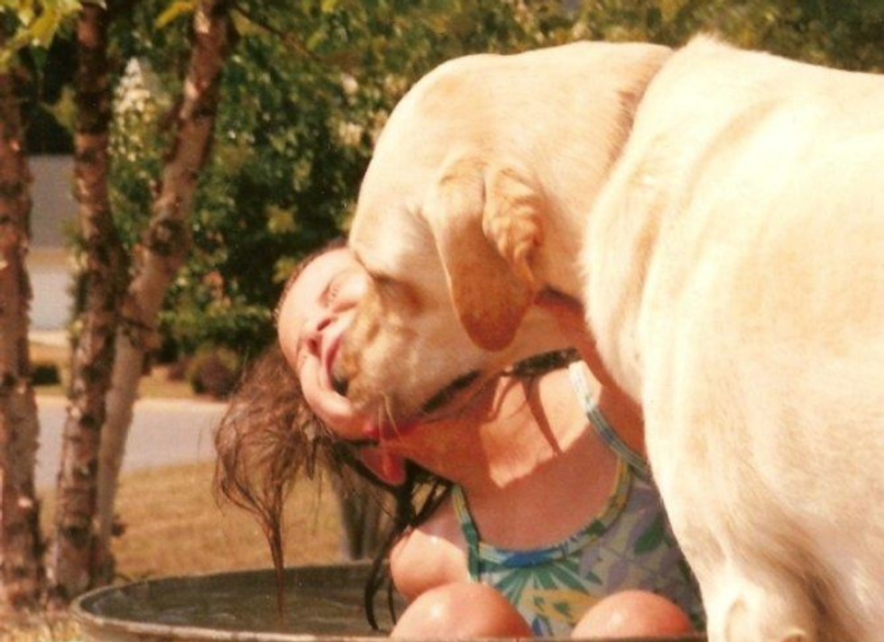 12 Reasons I'd Rather Be A Dog