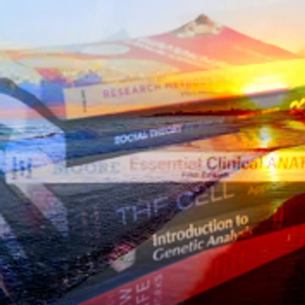 18 Reasons Why Summer School Absolutely Sucks