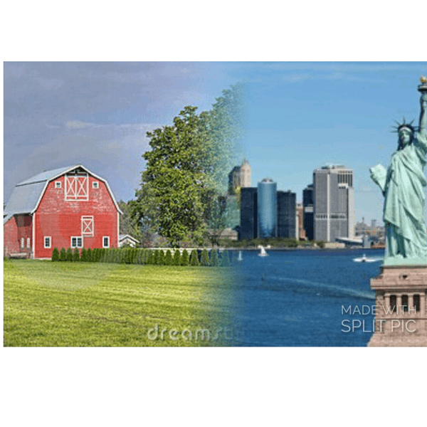 City Life Vs. Country Life