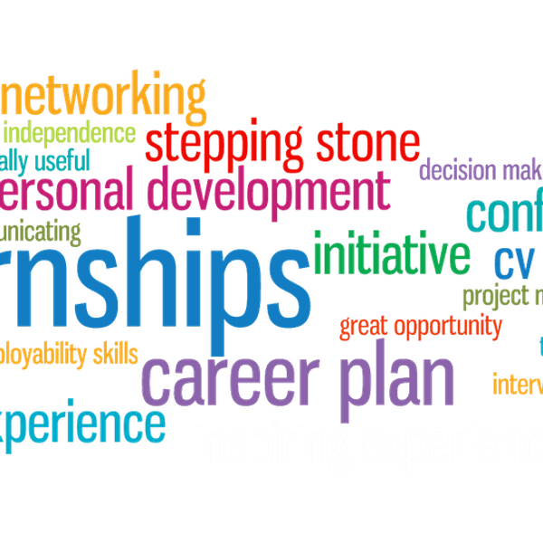 Why You Should Gain Experience Before Graduation