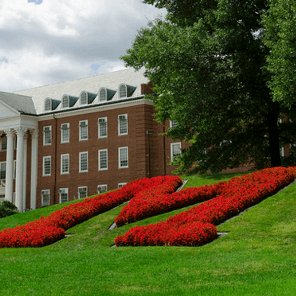 11 Things I Wish I Knew As A UMD Freshman