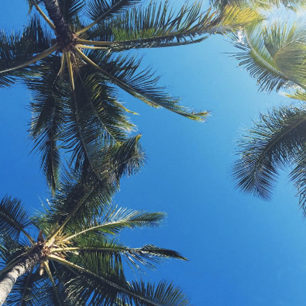 8 Ways To Avoid A Bummer Summer