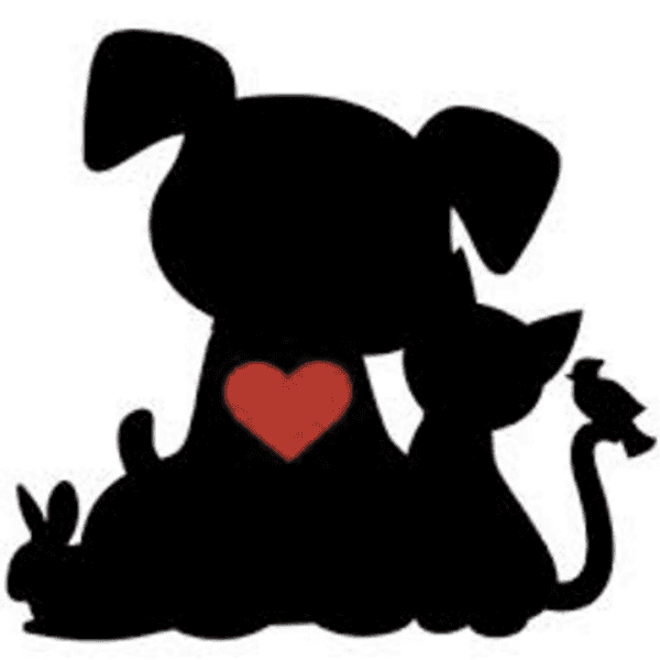 A Thank You Letter To My Pets