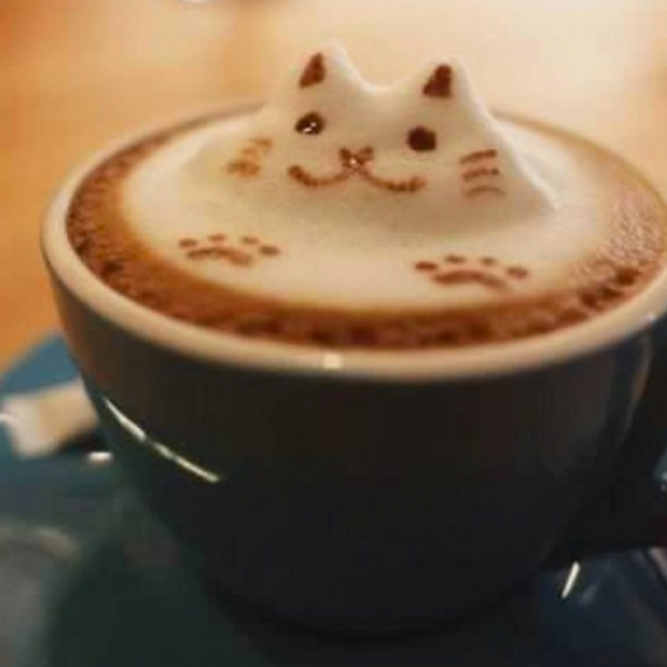 Best Places In Tallahassee To Grab A Cup Of Coffee