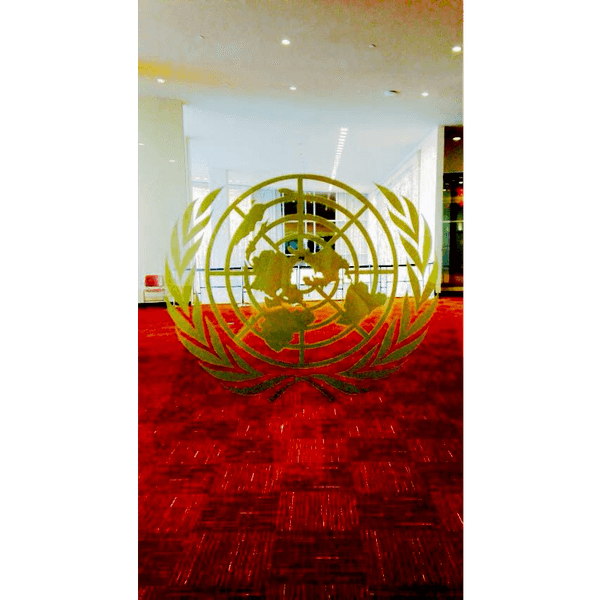 Do We Actually Need The United Nations?