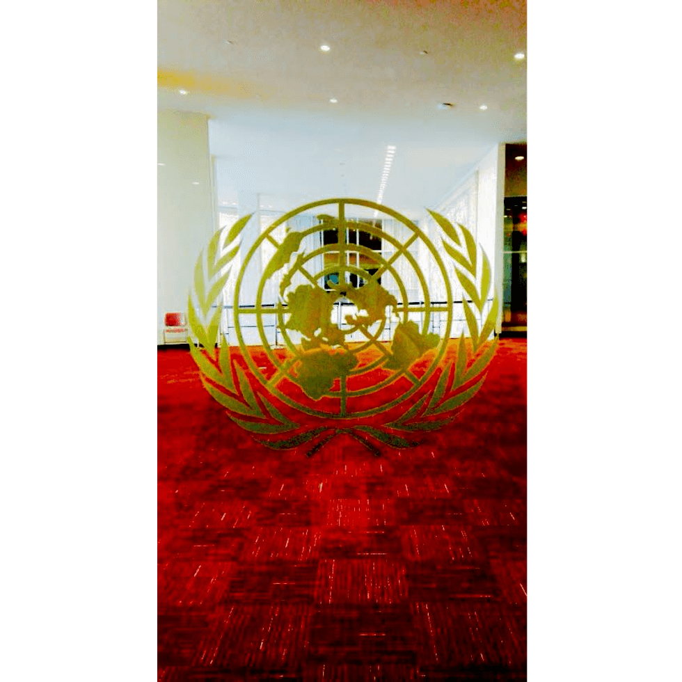 Do We Actually Need The United Nations?