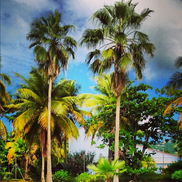 An Apprehensive "Hello" To Summer 2016