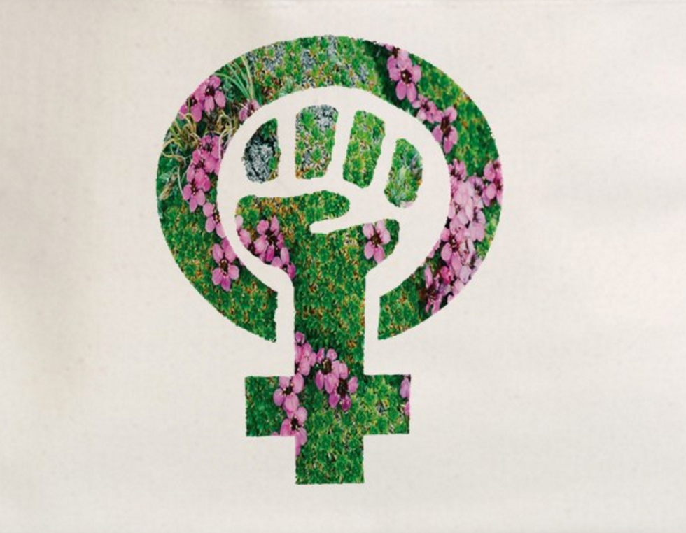 Ecology Of Women And Nature