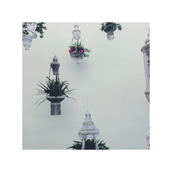 Maybe You Should Love Yourself