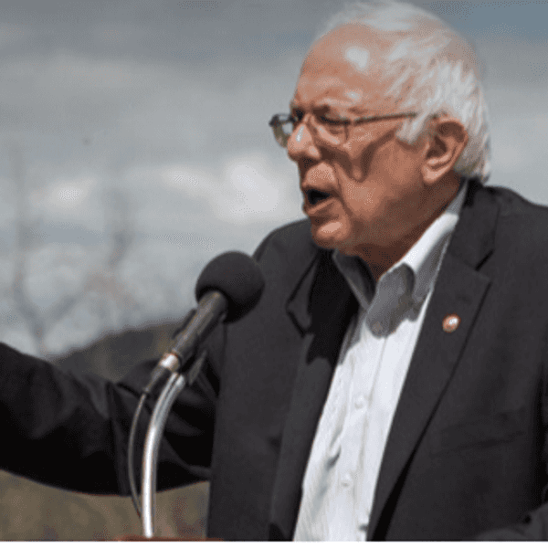 Four Reasons to Vote Bernie