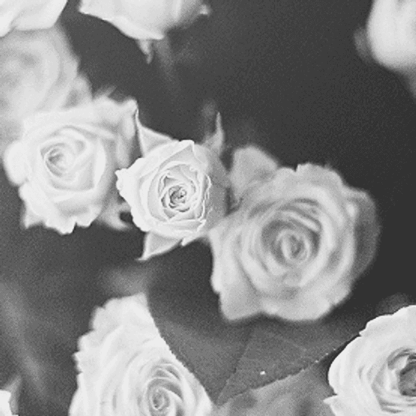 Why Having An "I Don't Care" Attitude Is Not Okay