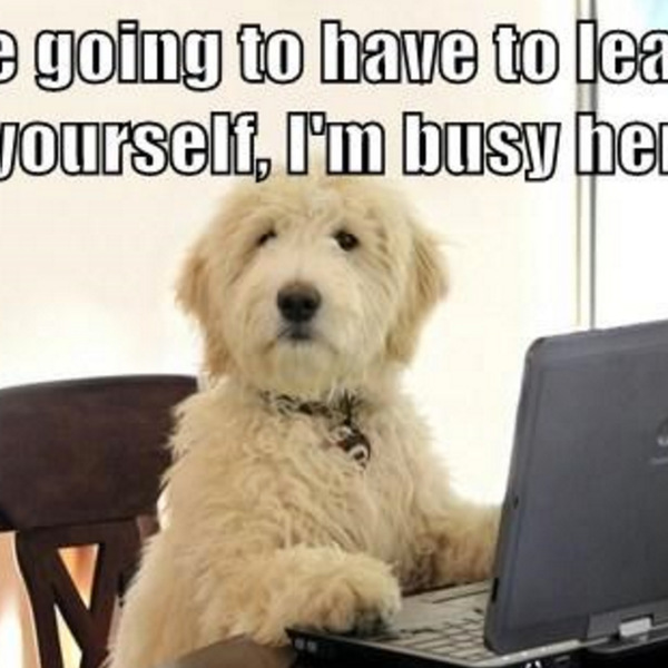 19 Confessions of an Extremely Busy Person