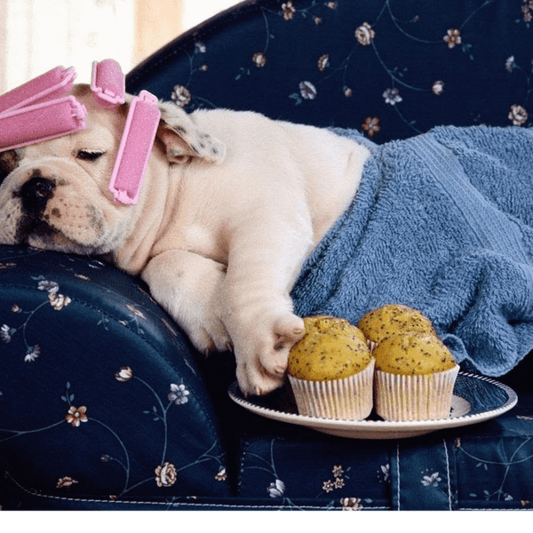 26 Stages Of Pulling An All-Nighter As Told By Taylor Swift