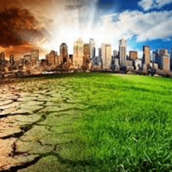 What If Global Warming Isn't Real?