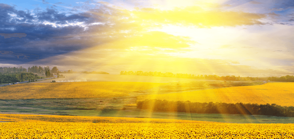 Your Optimistic Wake Up Call