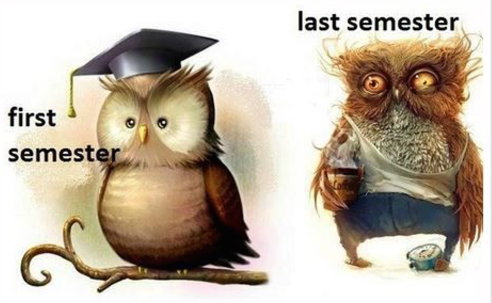 First Semester Vs Second Semester