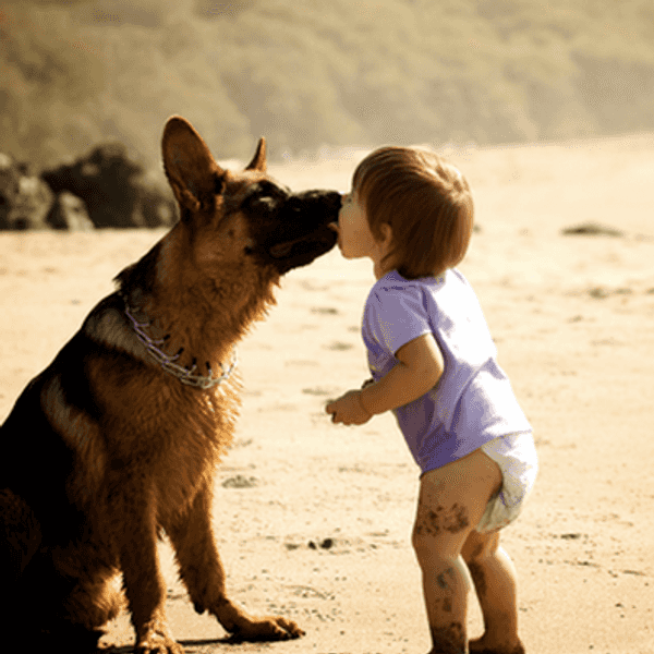 7 Reasons Why Your Dog Is Your Best Friend