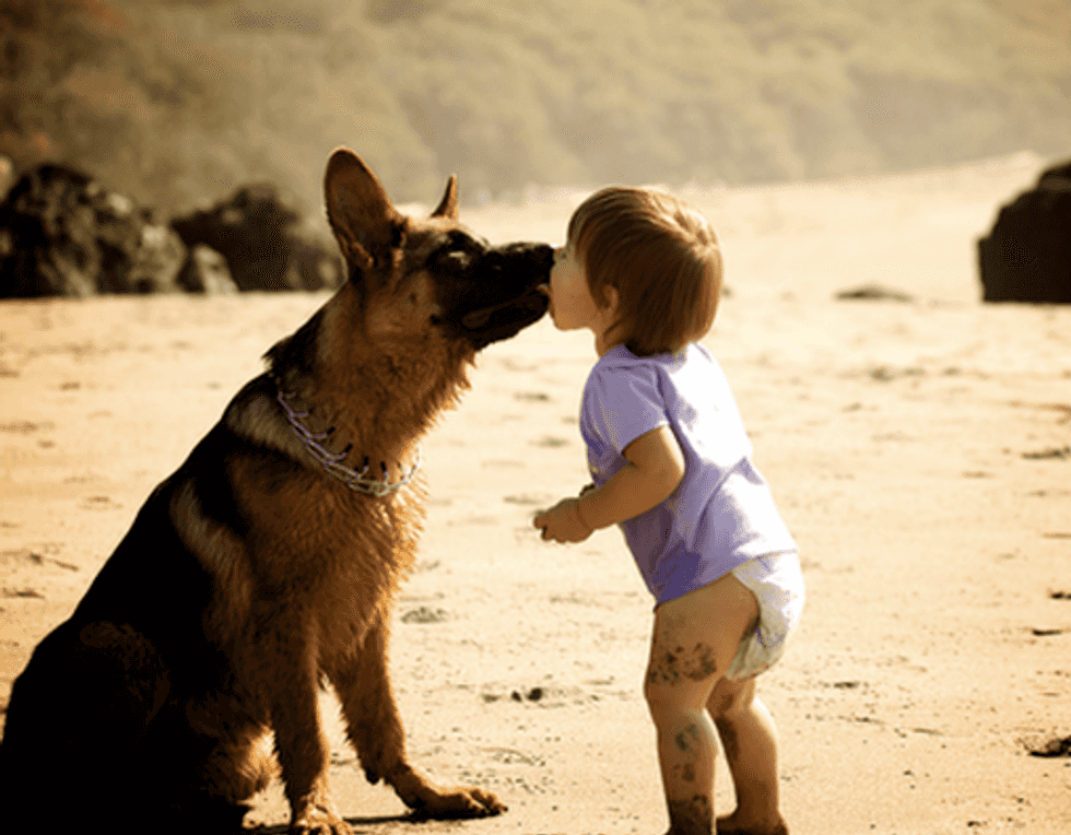 7 Reasons Why Your Dog Is Your Best Friend