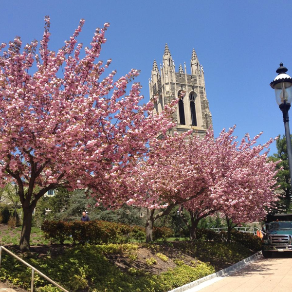 Why Going To School Close To Home Is The Move