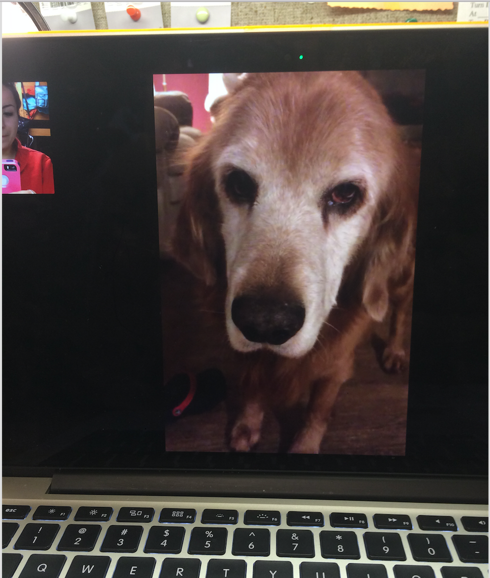 Why My Dog Is The Only Guy I Need