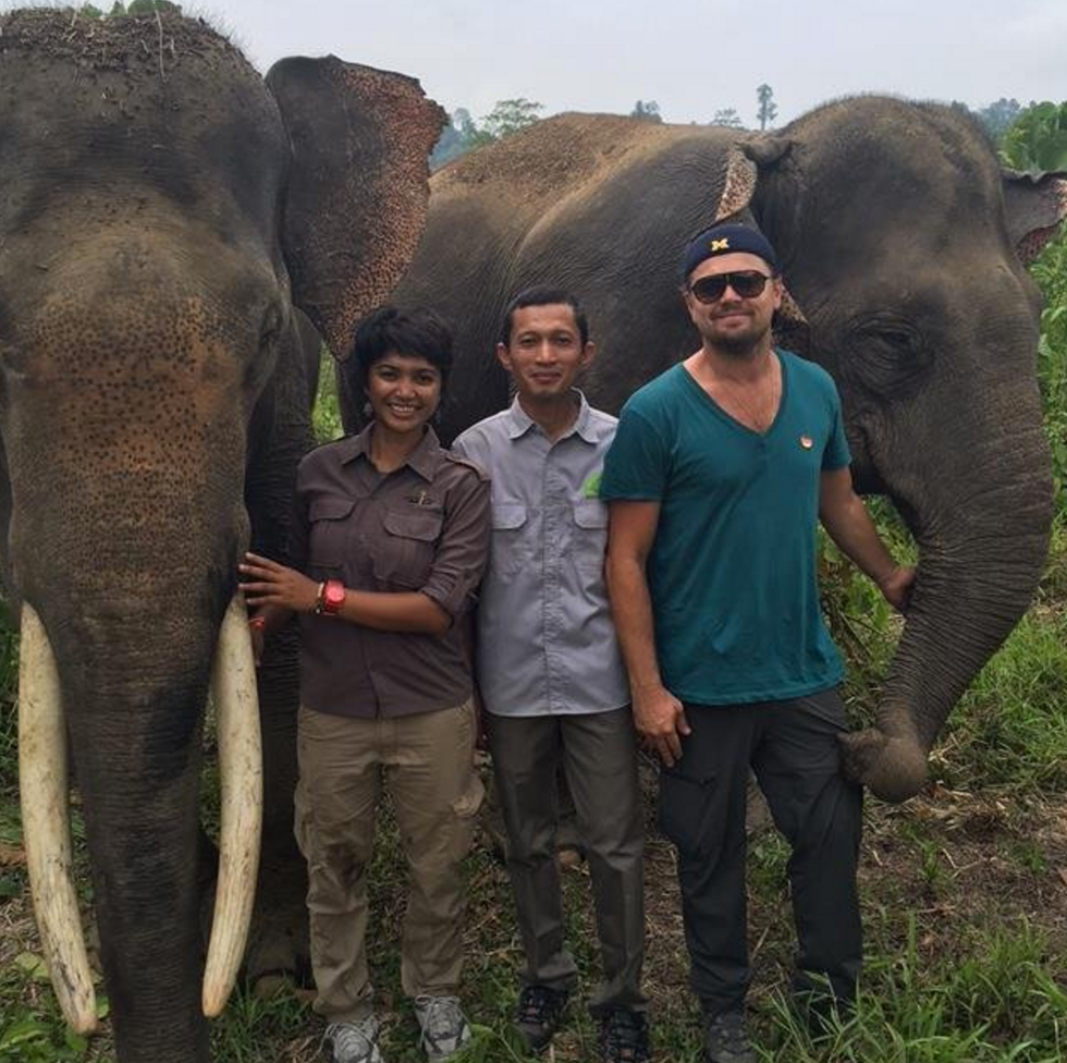 Leonardo DiCaprio Banned from Indonesia For Caring Too Much