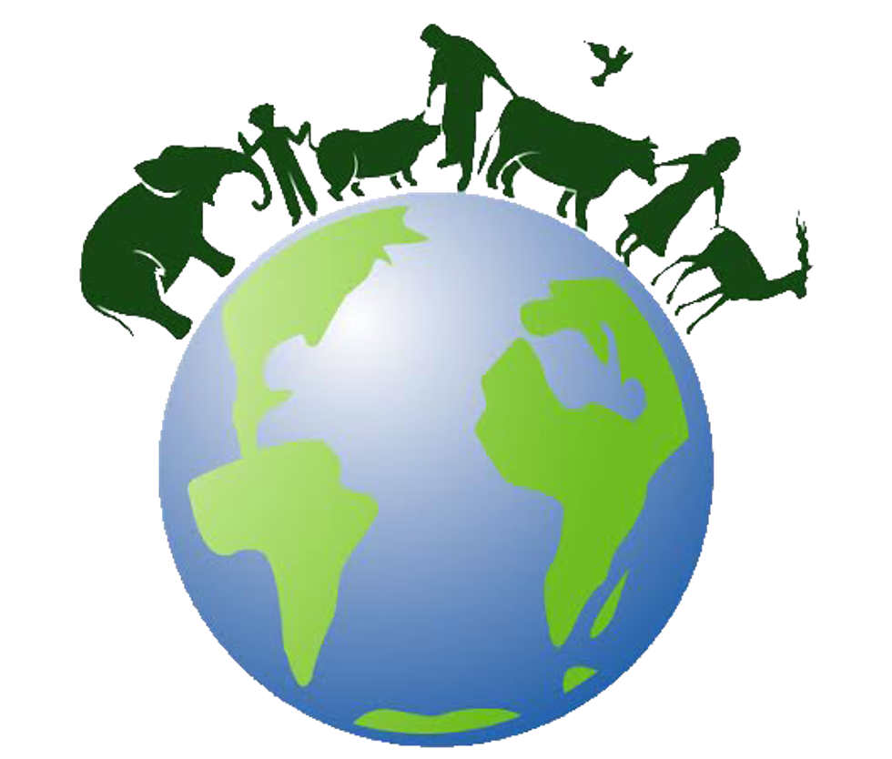 How Being Vegan Can Help Mother Earth